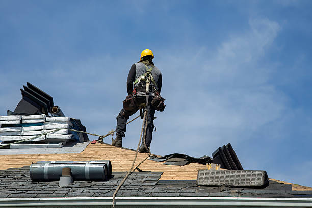 Professional Storm Damage Roof Repair technician working in Dundee, IL